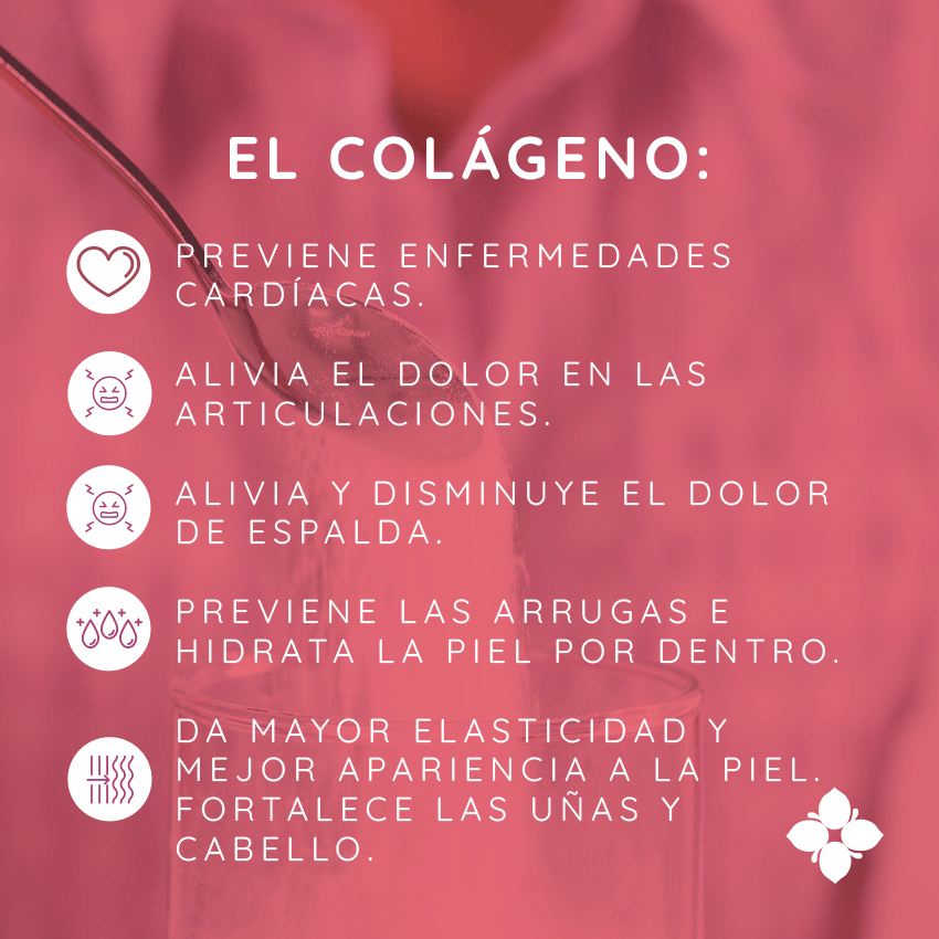 Colágeno Sin Azúcar con DHA omega 3